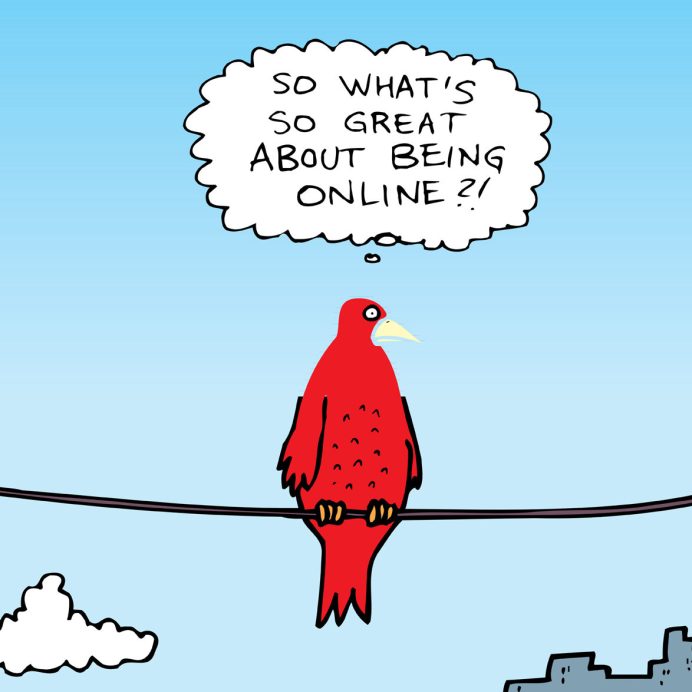 bird-online-social-media-network-illustration-small-e1463343082127