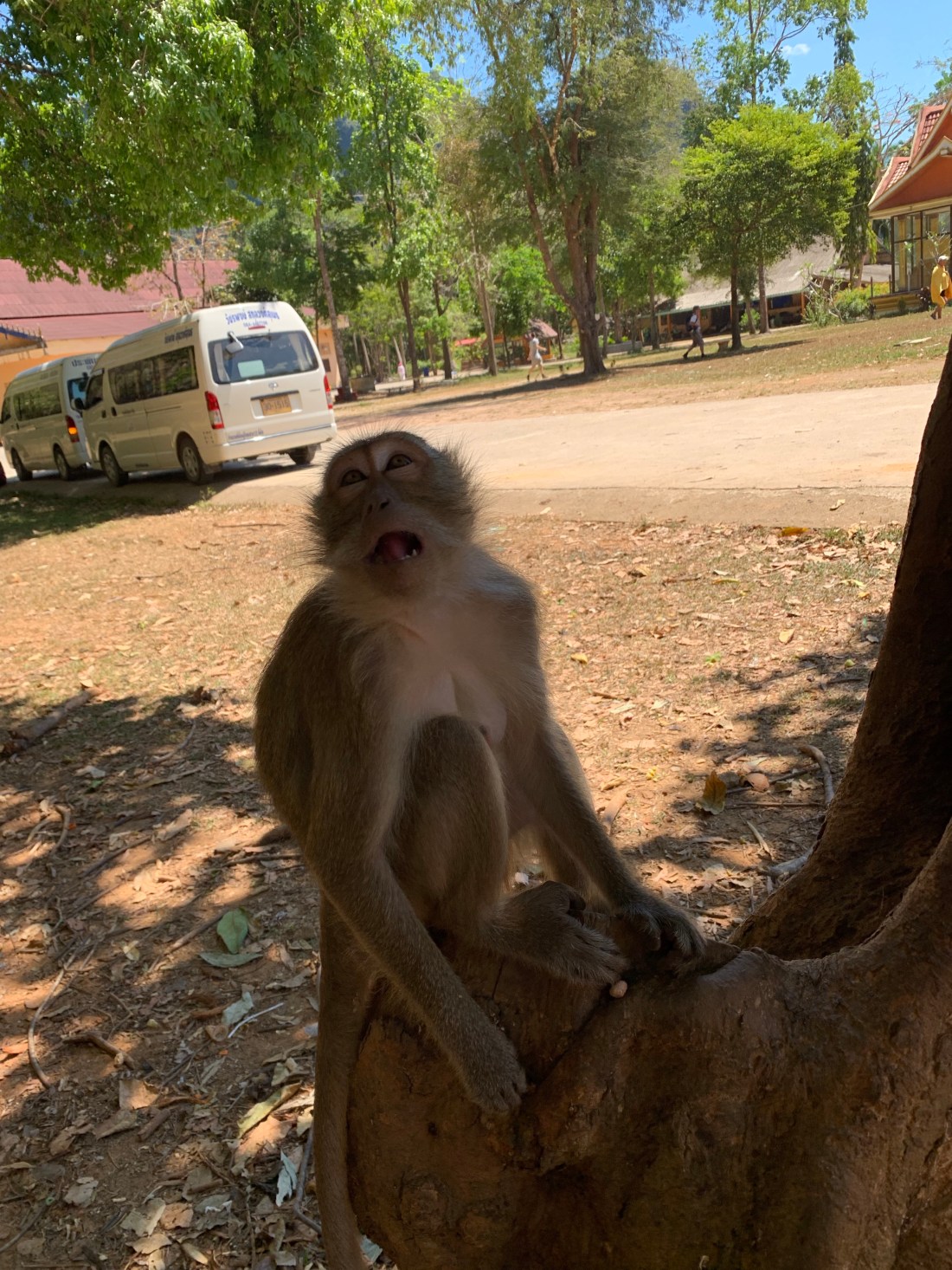 5esVzL8jRS6kuBNg6HHmSg